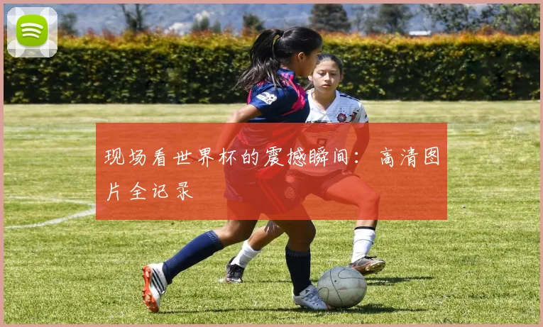现场看世界杯的震撼瞬间：高清图片全记录