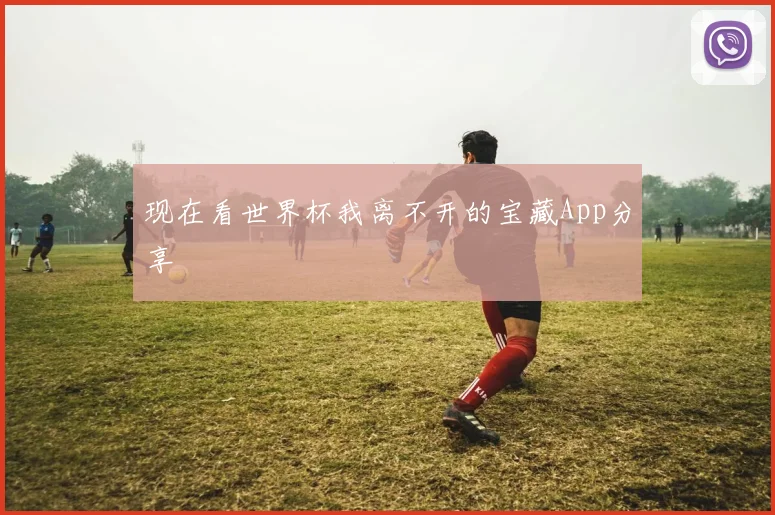 现在看世界杯我离不开的宝藏App分享