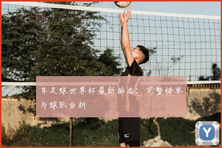 年足球世界杯最新排名：完整榜单与球队分析