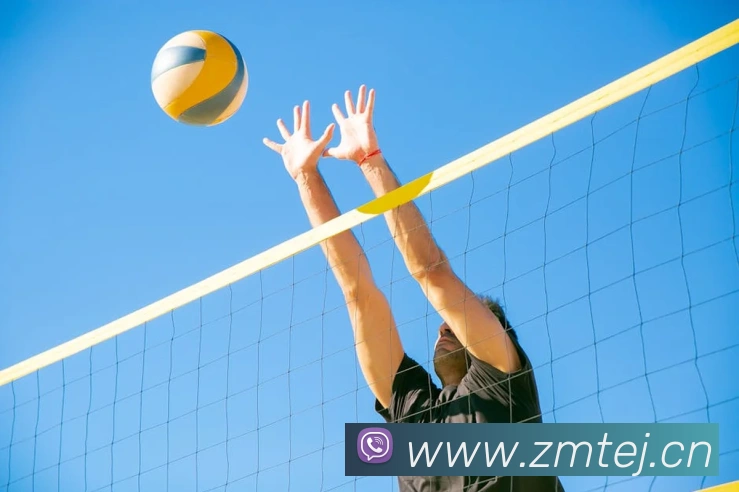 乐鱼体育在线平台官网发展历程